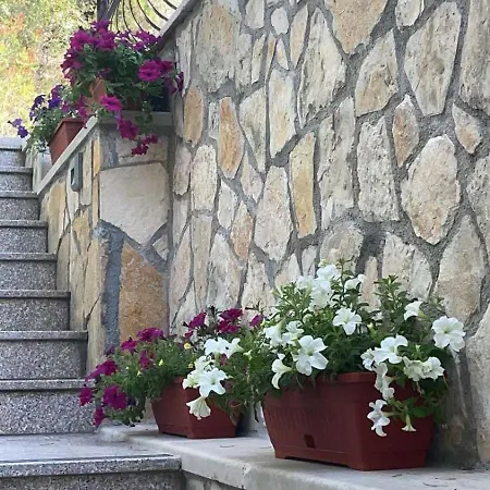 Apartment Terra Nostra Hvar Hvar Town
