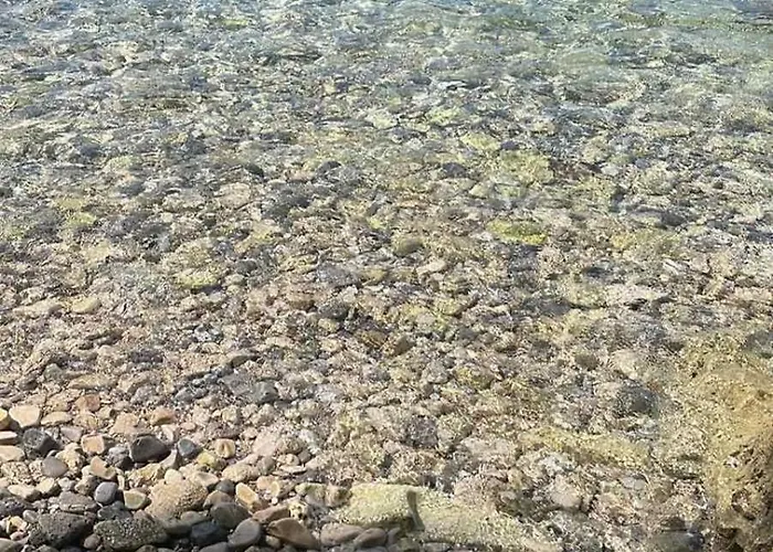 Terra Nostra Hvar Apartmán *