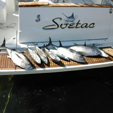 Terra Nostra Hvar * هفار